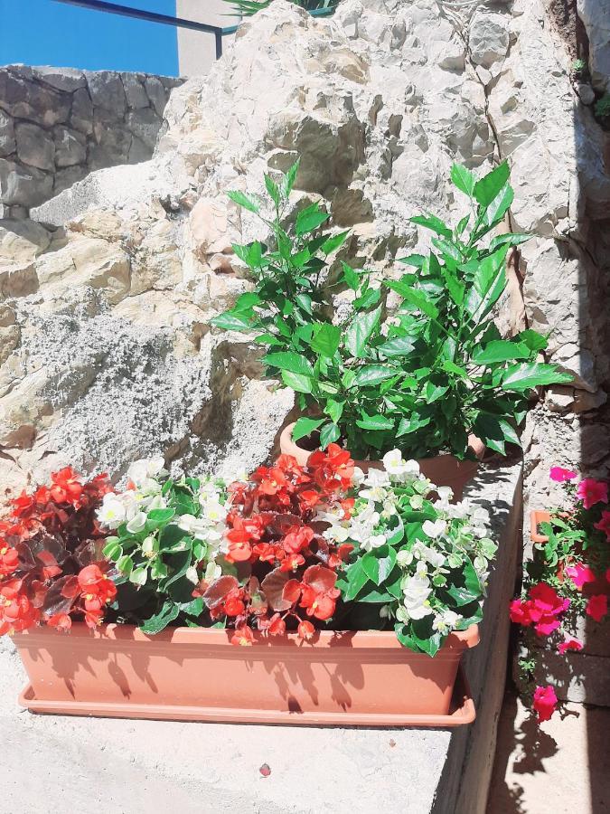 Apartments Tonkita With Jacuzzi Makarska Exterior foto